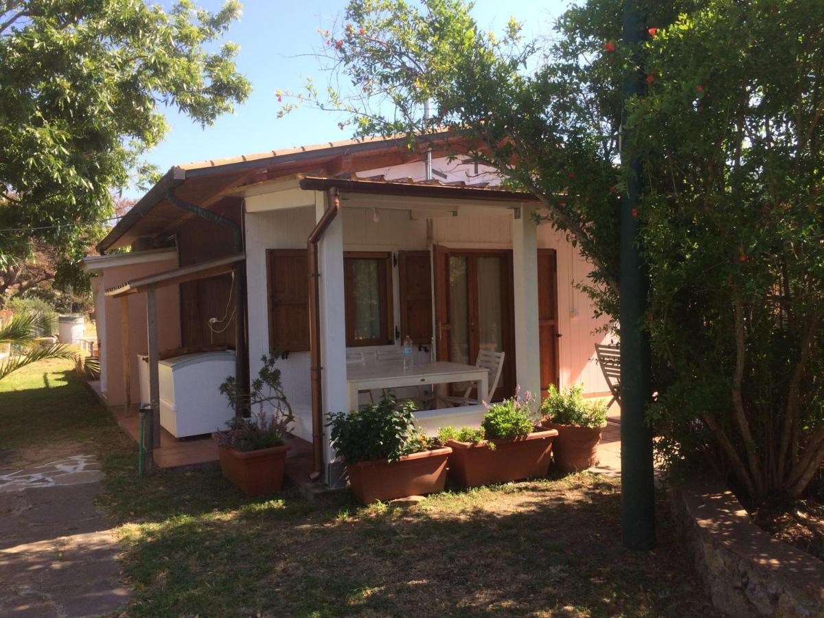 Tuscany Holidays Giannella